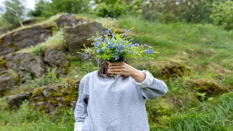 The Beauty and Importance of Trees in Our World