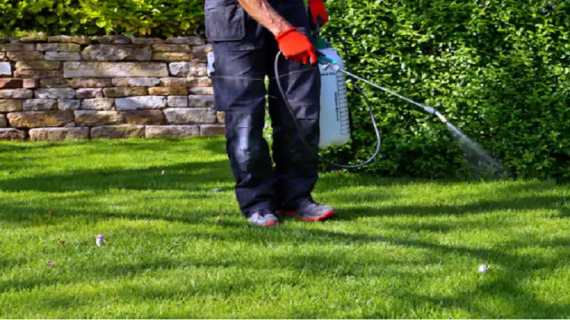 Why Is a Compost Bin Essential for Sustainable Home Gardening?