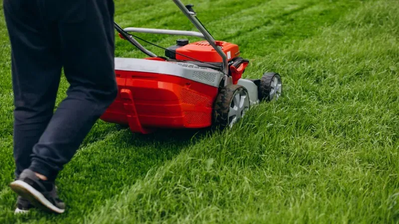 Why Lawn Care In Raleigh, NC Is A Must For A Healthy, Beautiful Lawn