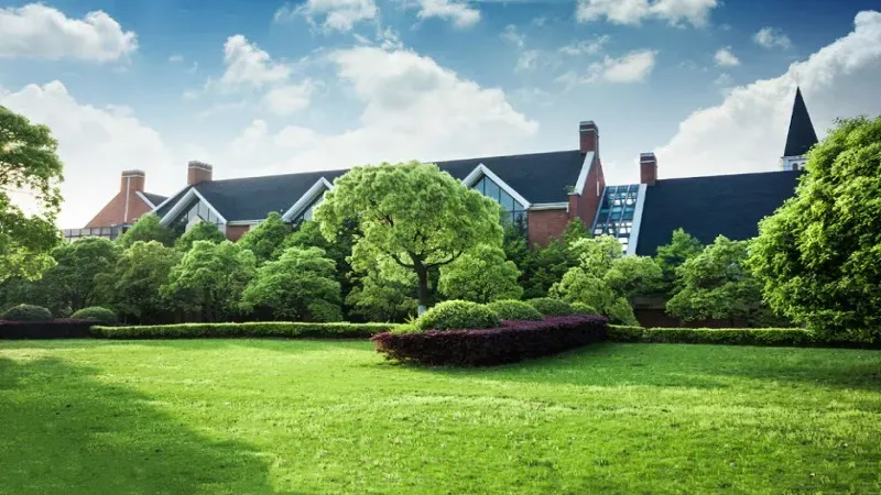 Why Lawn Care In Raleigh, NC Is A Must For A Healthy, Beautiful Lawn