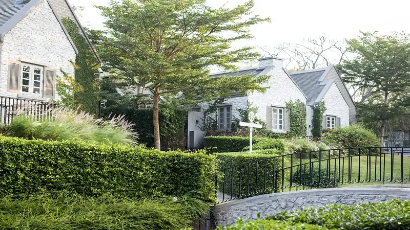 Garden Trends Disappearing From UK Homes