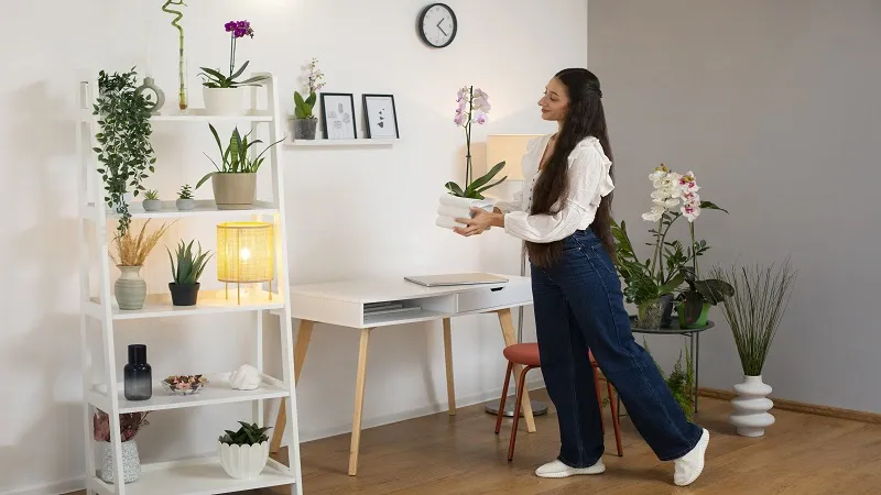 Affordable Ways to Decorate Your Home: Creative Ideas for a Stylish Space